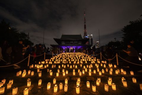 東京タワーがライトダウン！